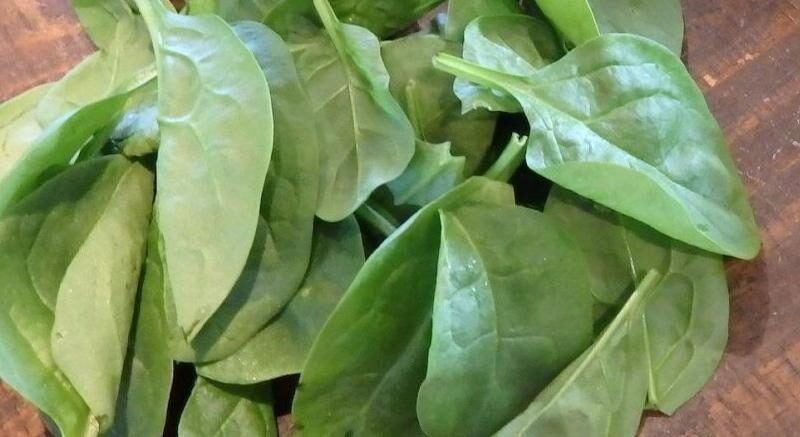 Canada food recall for spinach and kale