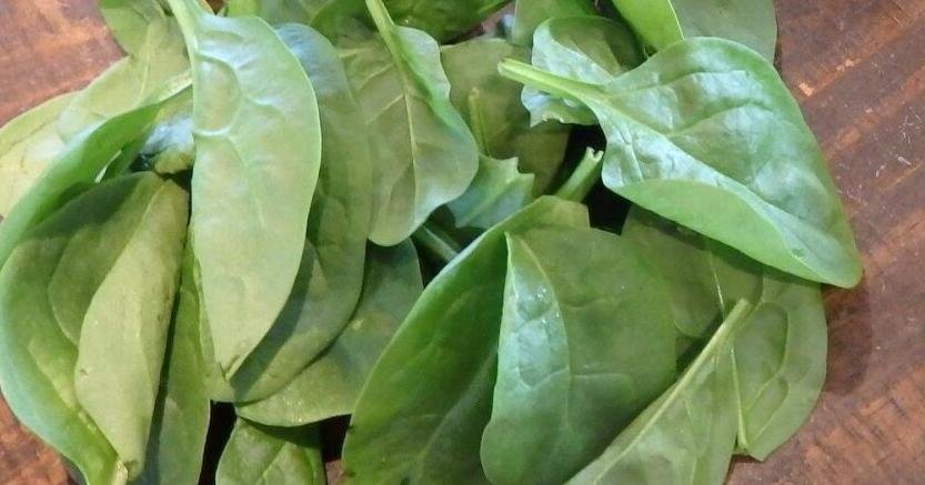Canada food recall for spinach and kale