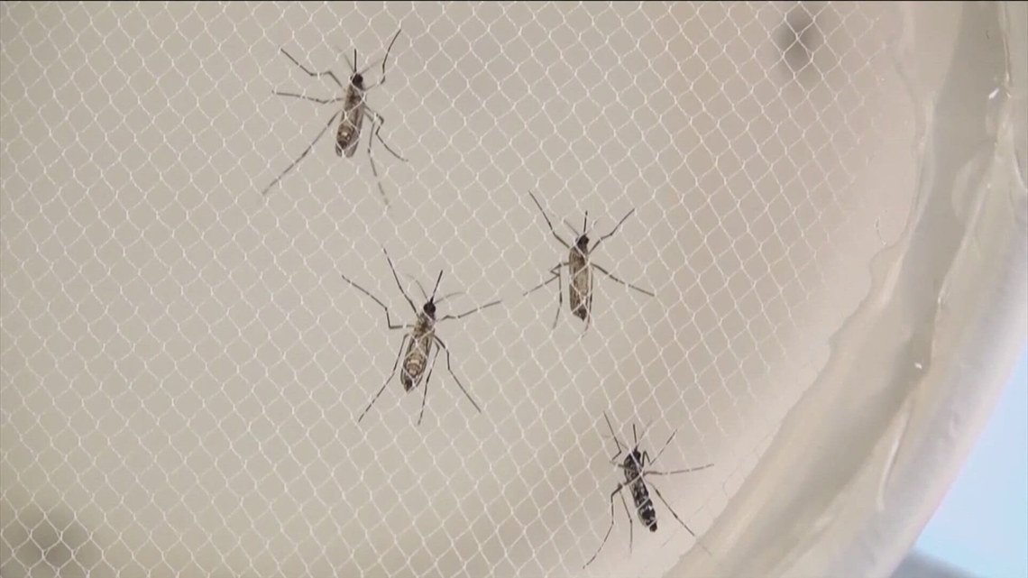 Health experts offer tips for mosquito and tick-borne illness prevention