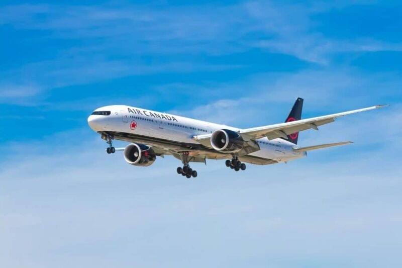 In-Flight Fare: Understanding the Safety of Airline Food