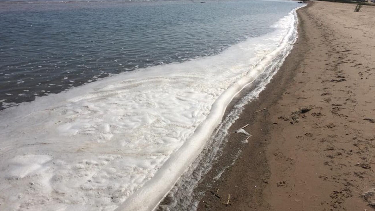 New report shows PFAS contamination in 98% of waterways tested