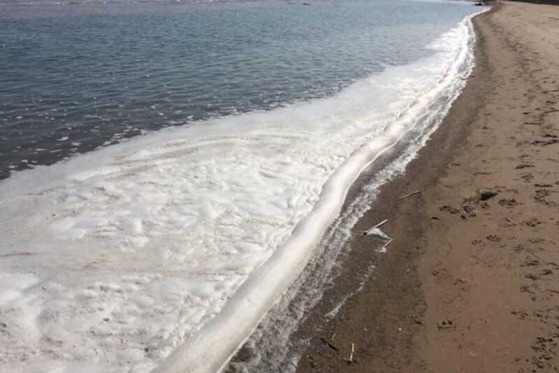 New report shows PFAS contamination in 98% of waterways tested