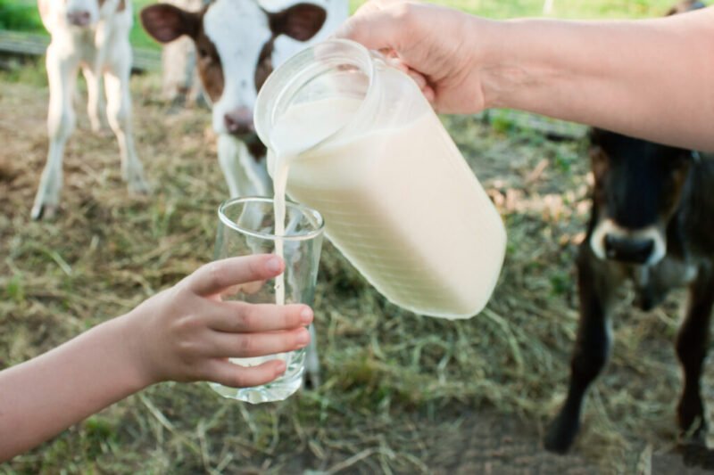 Pennsylvania Issues Raw Milk Warning After Contamination Discovery