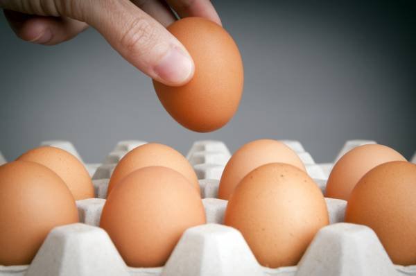 Recall of Multiple Brands of Eggs in Canada Due to Potential Salmonella Contamination