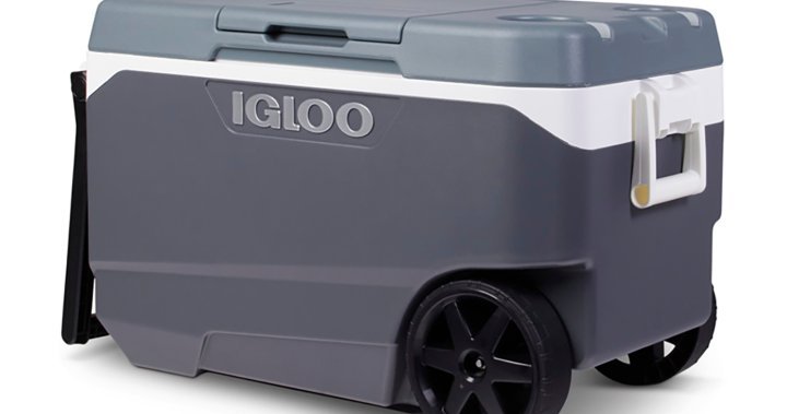 This Igloo cooler can sever fingers, Health Canada warns in recall – National