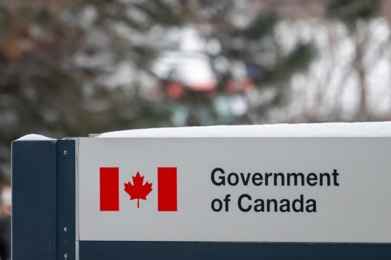 Baby ‘nest’ sold in Canada recalled