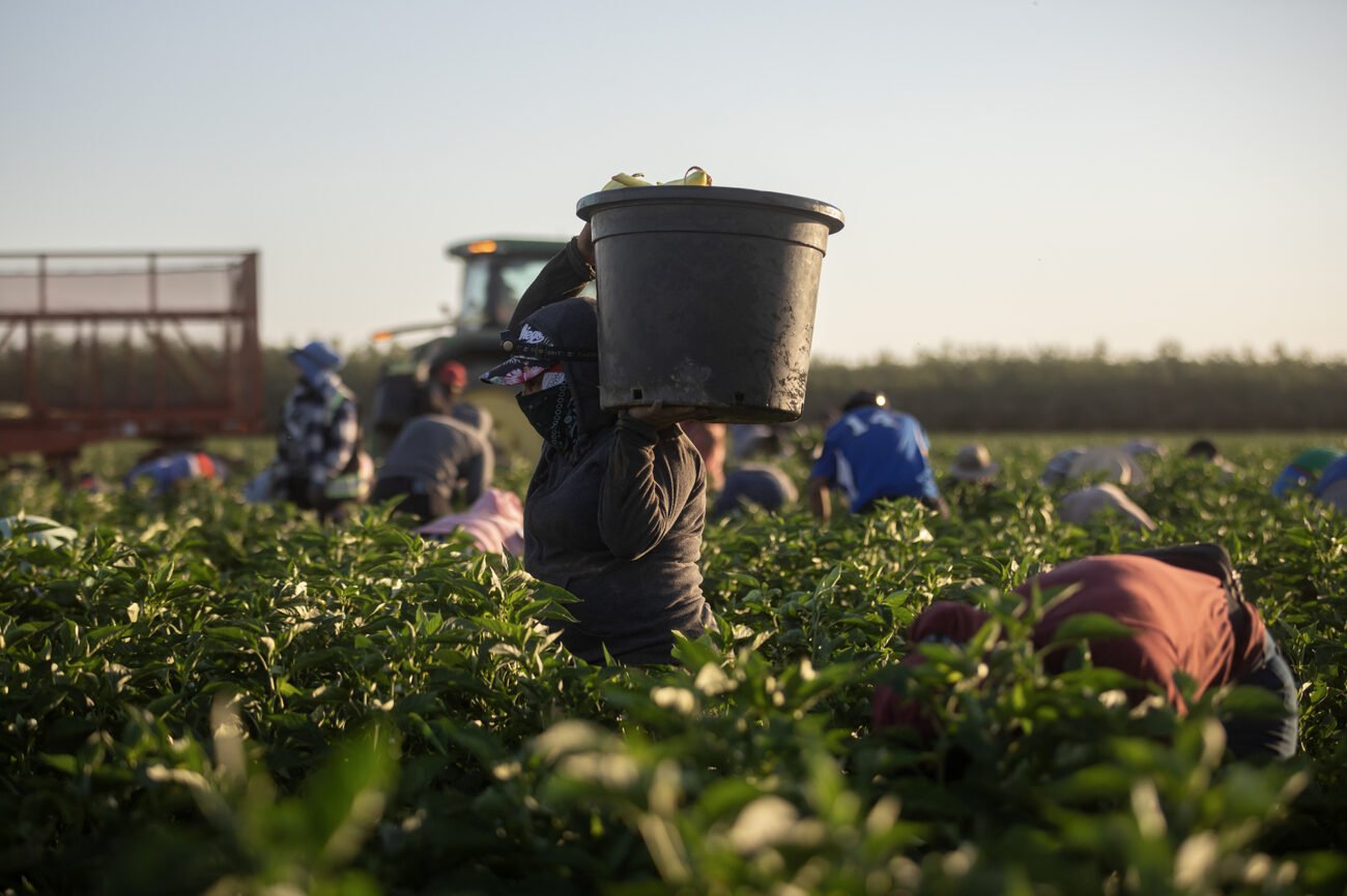 California worker safety agents are failing to inspect worksites