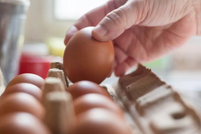 Canada egg recall after Salmonella detected in six brands as infants and children at high risk