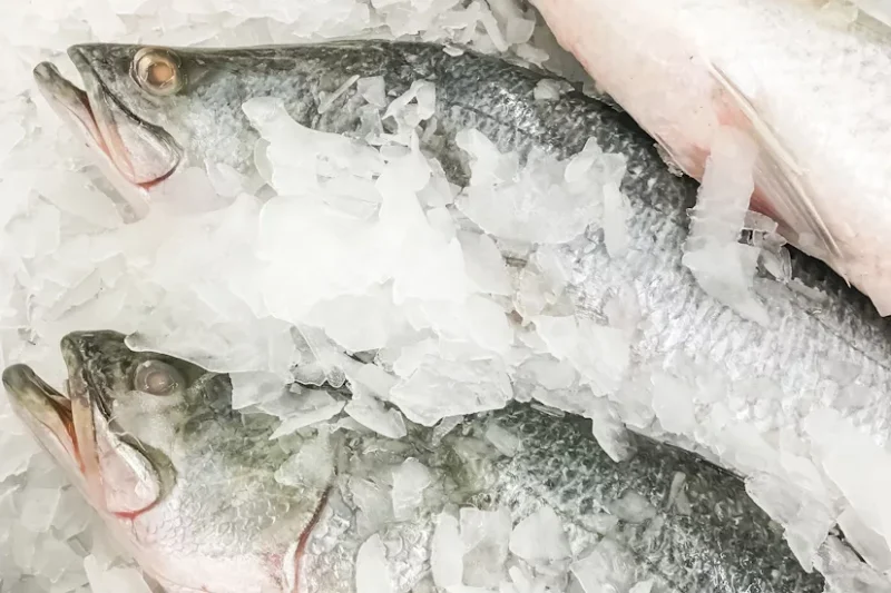 Common Fish Food Poisoning Types and Prevention Methods