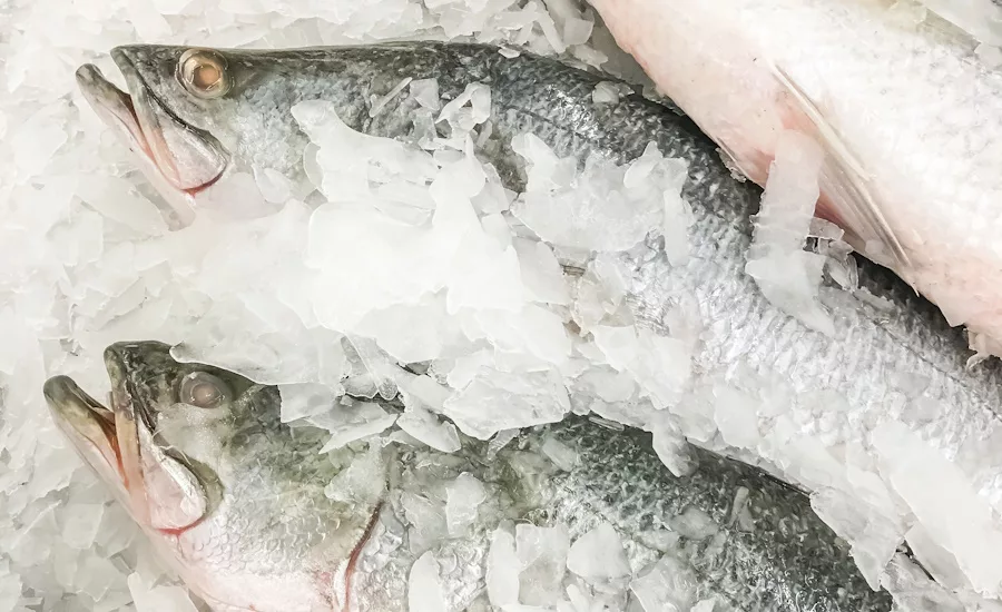 Common Fish Food Poisoning Types and Prevention Methods