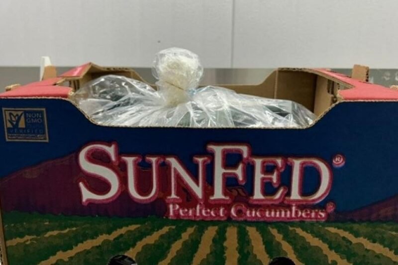 Cucumbers recalled across U.S. and Canada over possible salmonella contamination