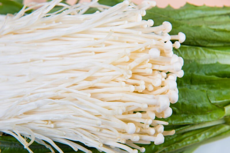 FDA Issues Highest Risk Warning After Mushrooms Recalled Nationwide