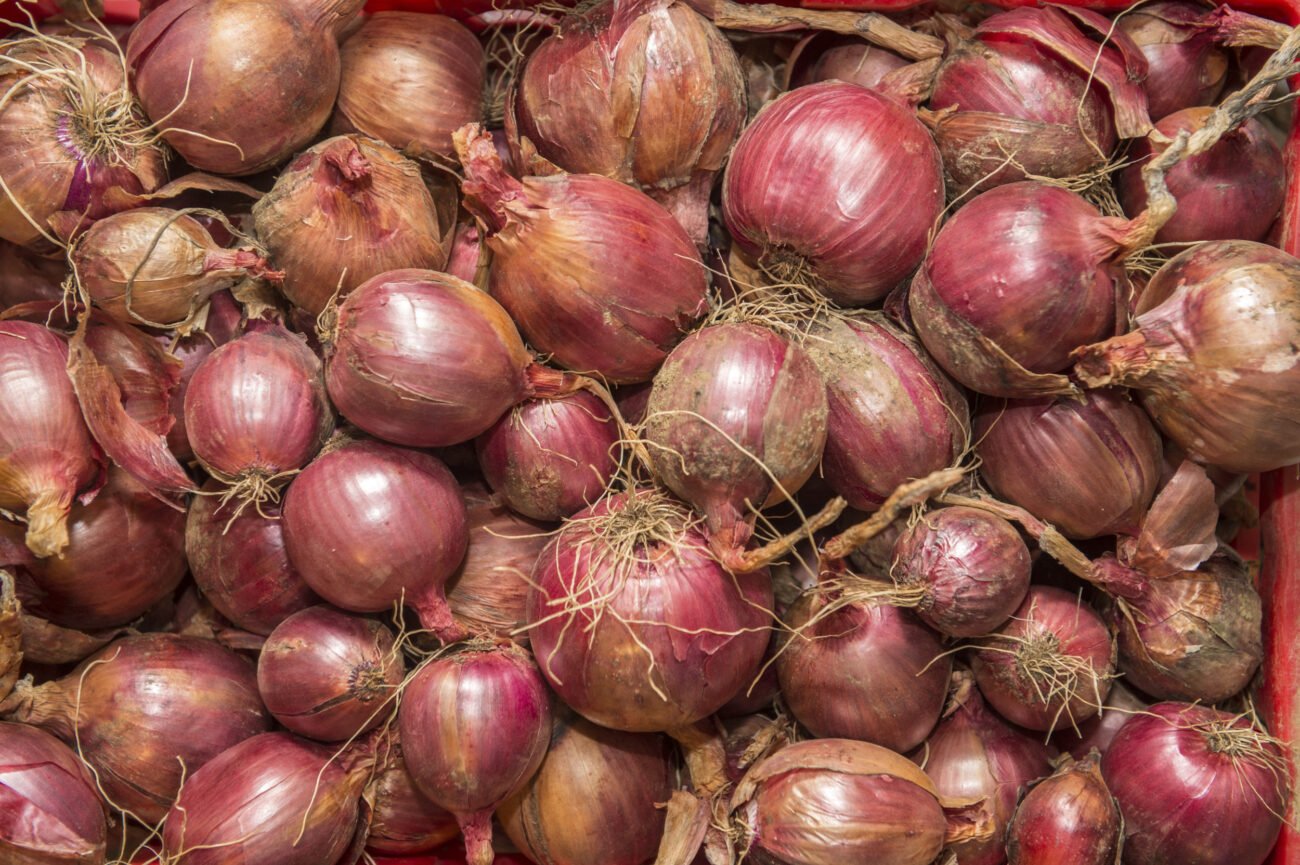 Red onion
