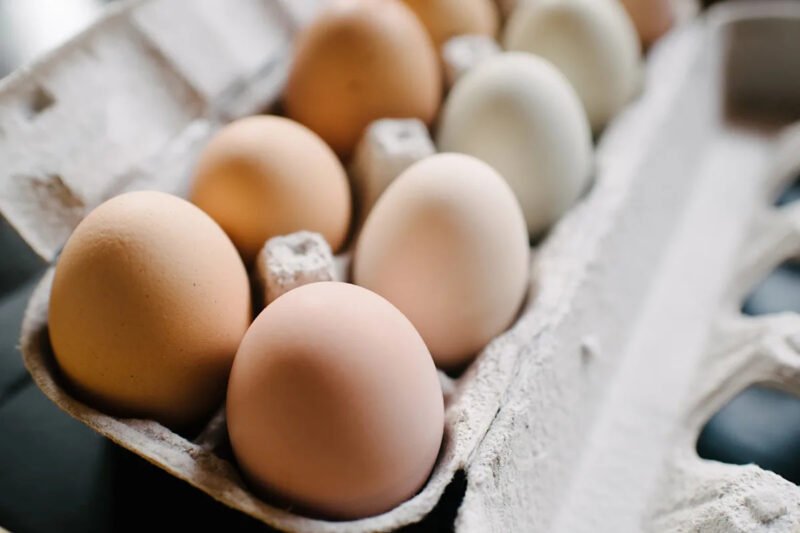 FDA raises Costco organic egg recall to highest risk level