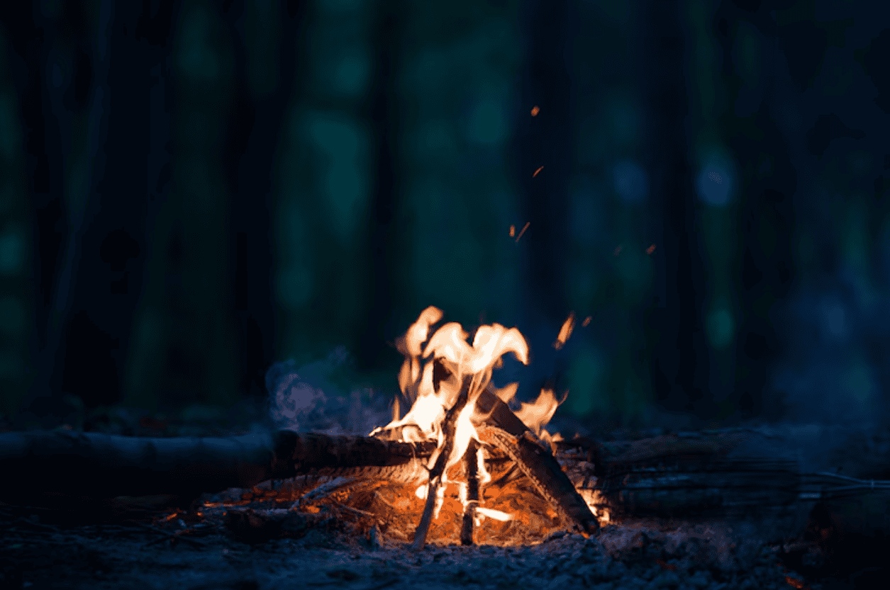 A small campfire burns with visible flames and smoke, surrounded by logs in a dark, wooded outdoor setting.
