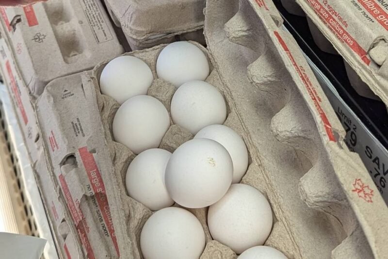 How to avoid Salmonella amid major egg recall in Canada