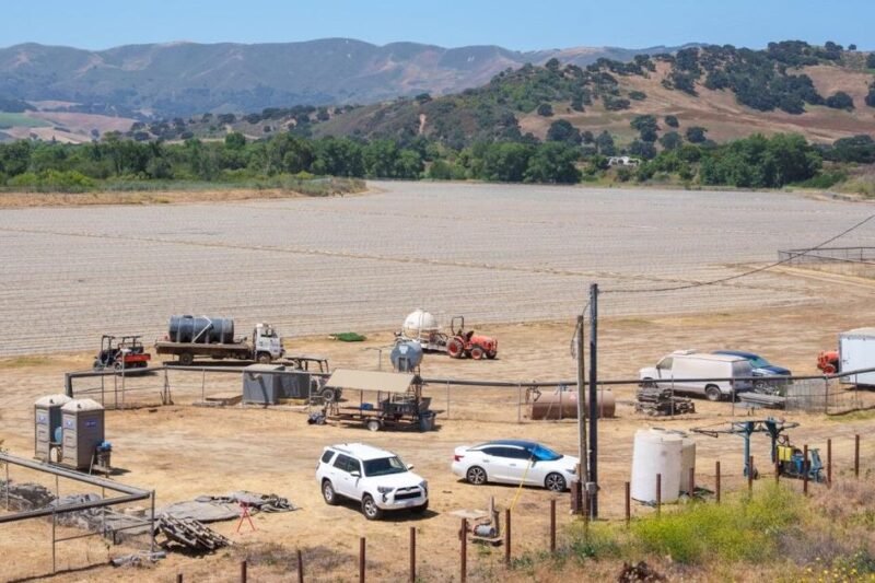 Judge denies class certification in Vintner vs. Cannabis Buellton-area grower lawsuit | Local News