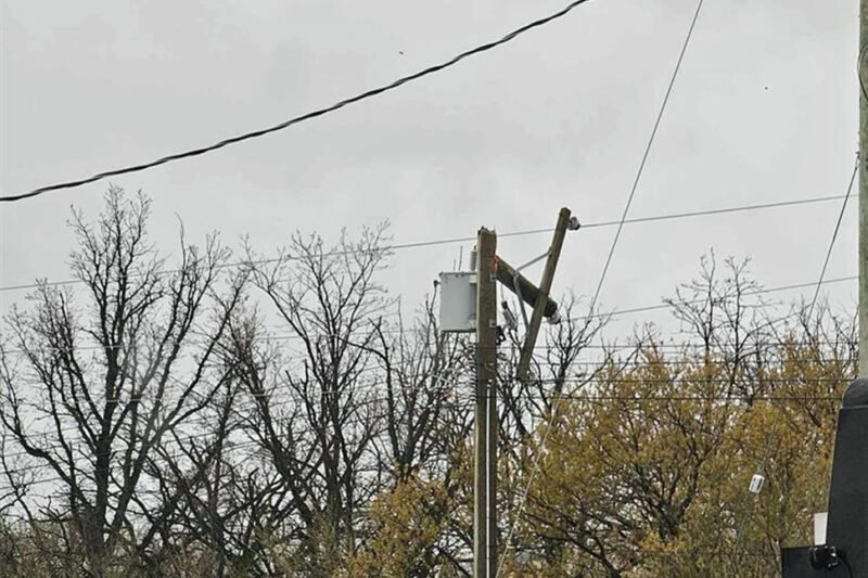 Manitoba Hydro shares summer safety tips to prevent outages – SteinbachOnline.com