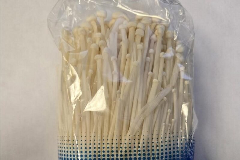 Mushroom recalls issued over listeria risk in U.S. markets