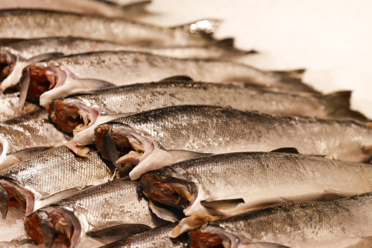 Fish