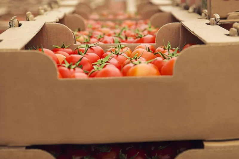 New York State Touts Food Safety Efforts in Tandem with World Food Safety Day