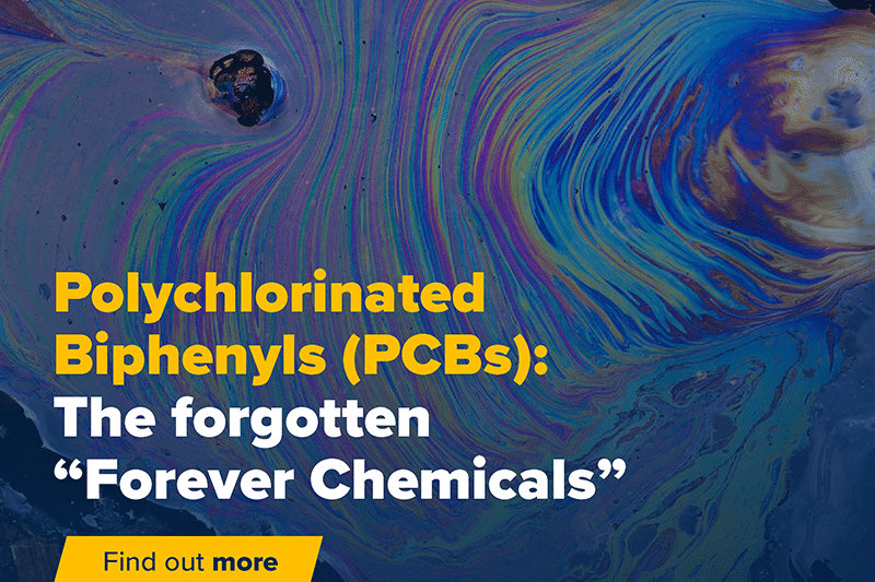 Polychlorinated Biphenyls (PCBs): The forgotten “Forever Chemicals”