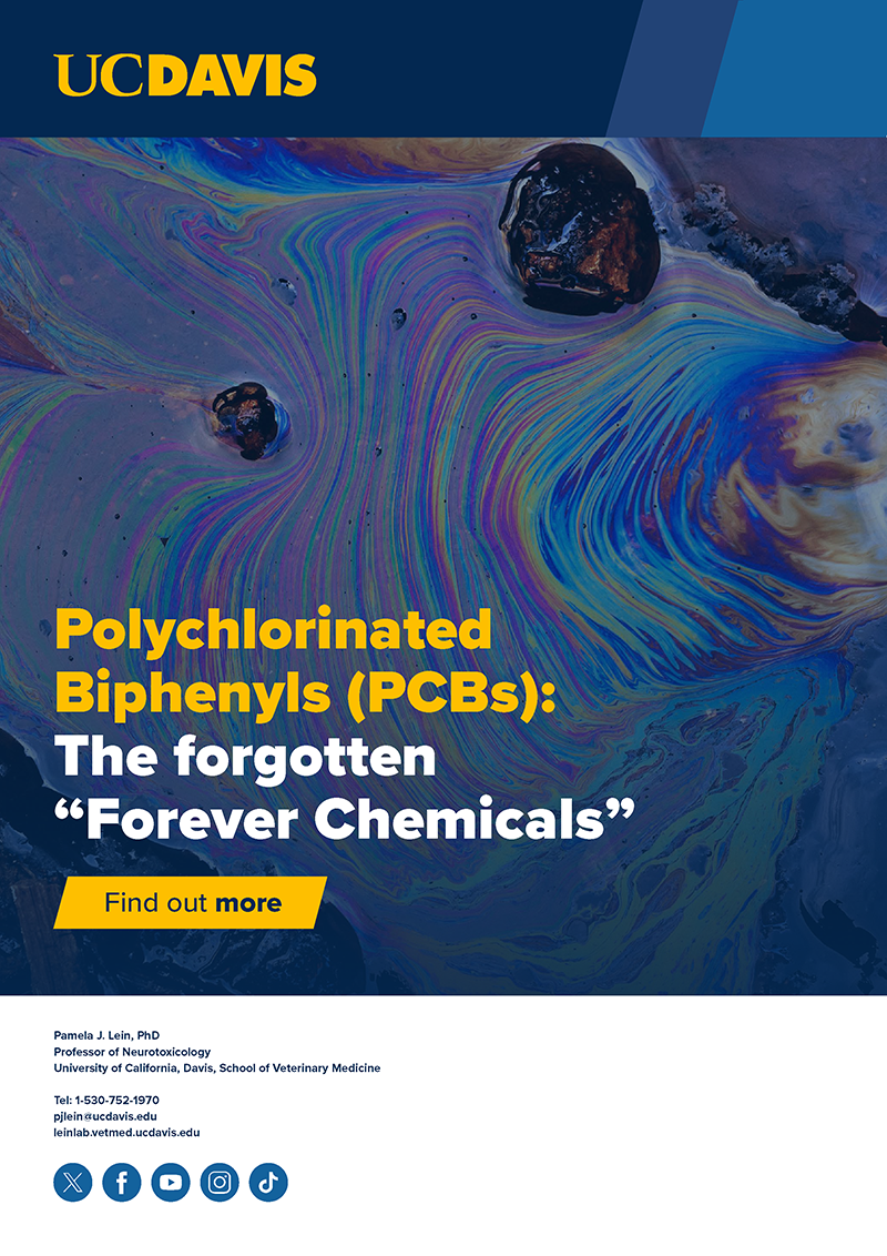 Polychlorinated Biphenyls (PCBs): The forgotten “Forever Chemicals”