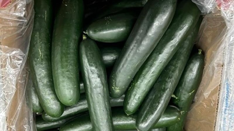 Recalled cucumbers linked to multistate salmonella outbreak, health agencies warn