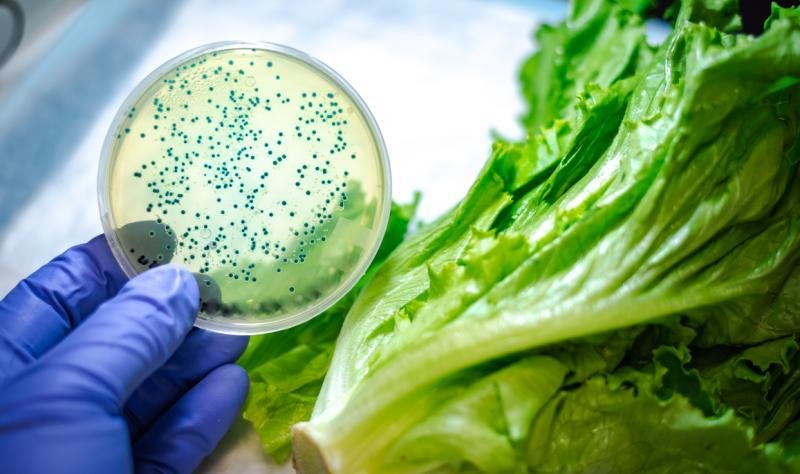 Report: Illnesses from contaminated food increased in 2024, severe cases doubled