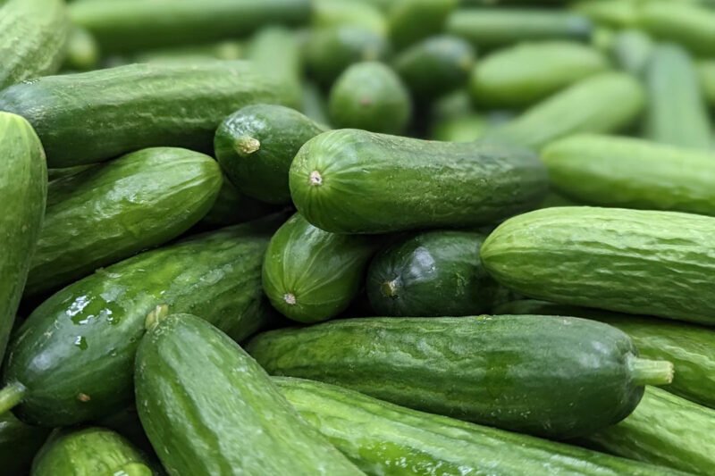 See which cucumbers are recalled