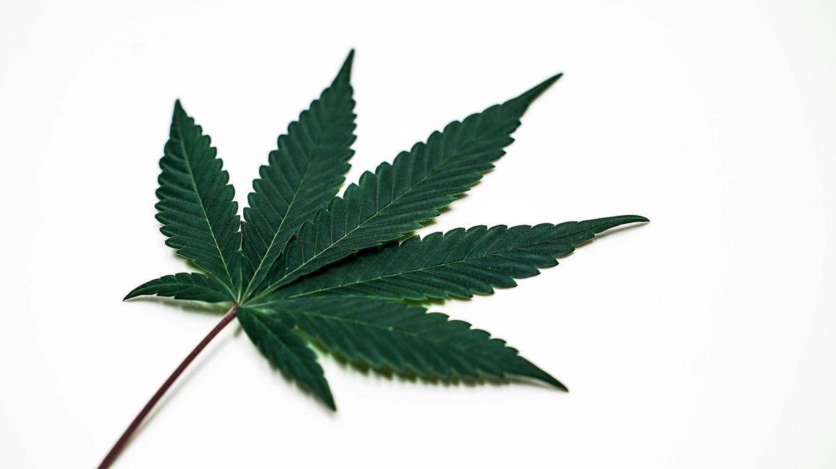 Statewide Cannabis Recall Announced for East End Flower Farm