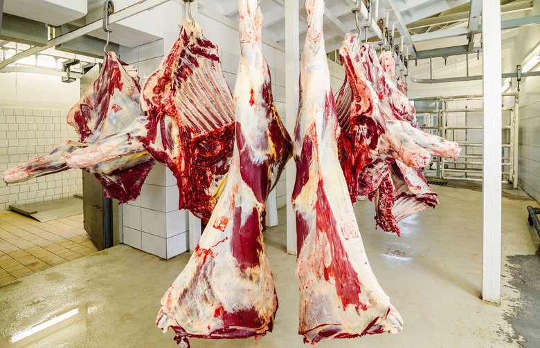 The 10 Biggest Food Recalls In American History