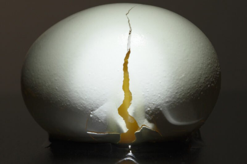 The Biggest Egg Recalls In US History