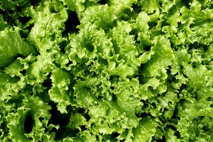 The FDA Just Announced a Massive Produce Recall in 4 States and Washington, D.C.