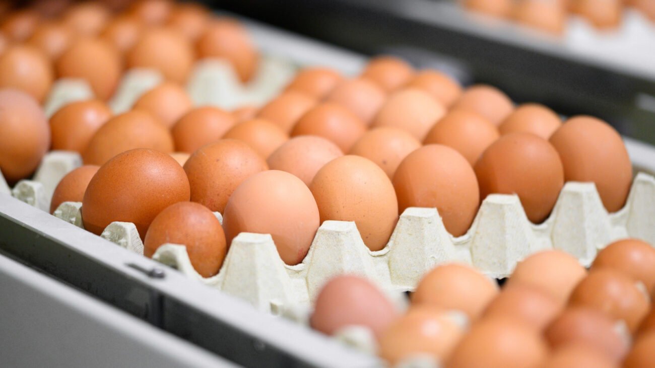 These Farms Were Responsible For The Largest Egg Recall In History