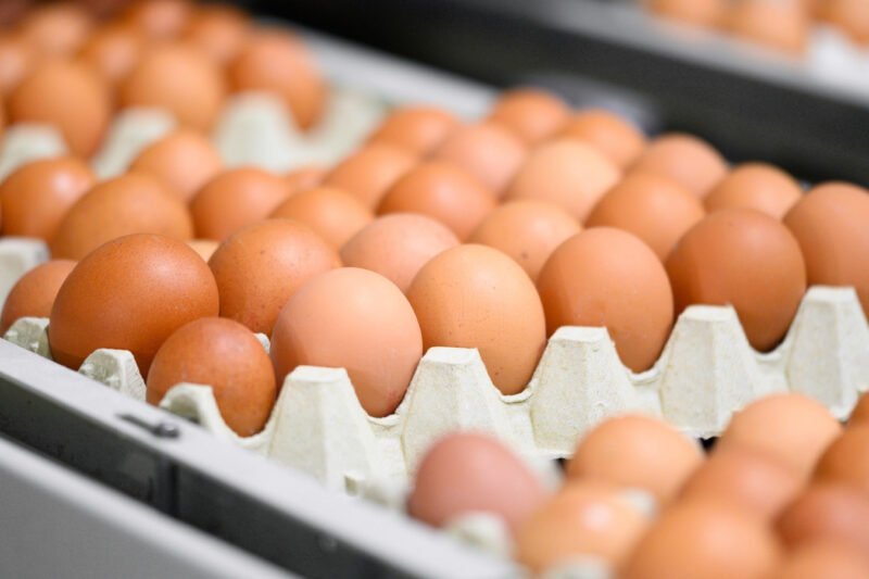 These Farms Were Responsible For The Largest Egg Recall In History