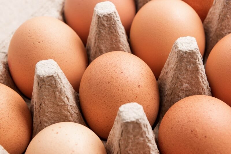 U.S. egg industry sees record chicken deaths from bird flu outbreak