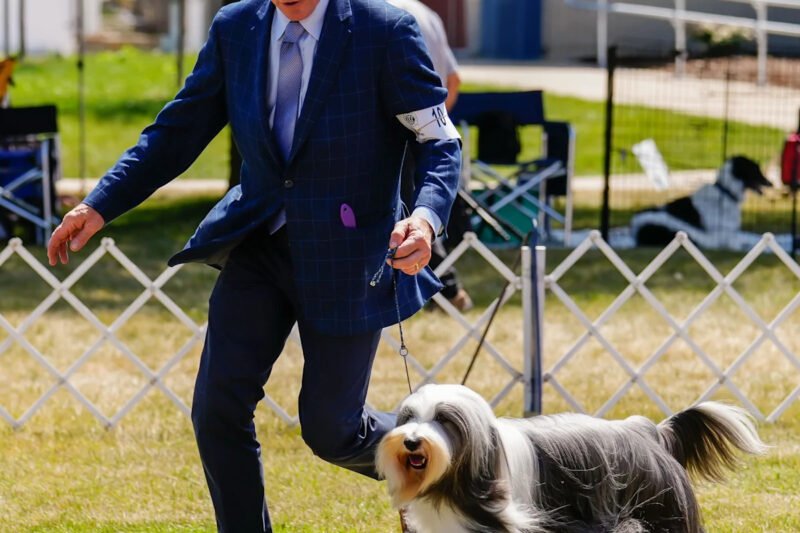 Waukesha Kennel Club to host Wisconsin’s largest dog show, July 25-27, with 1,700 entries